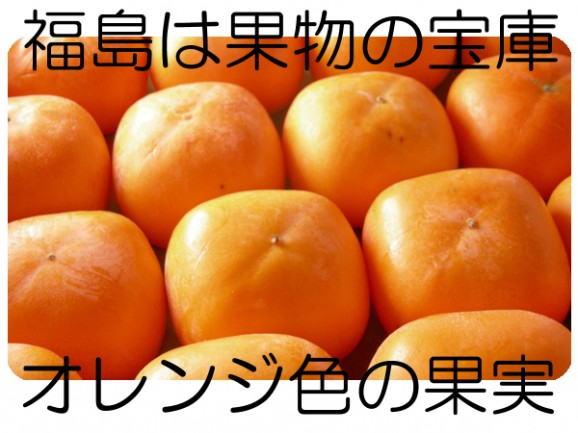 トロトロ甘〜い飯坂産、種なしひらたね柿(1.8kg箱8〜12入)【発送時期:10月中旬〜11月上旬頃まで予定】 | 日本全国各地の名産品やお土産のお取り寄せモール 風土jp