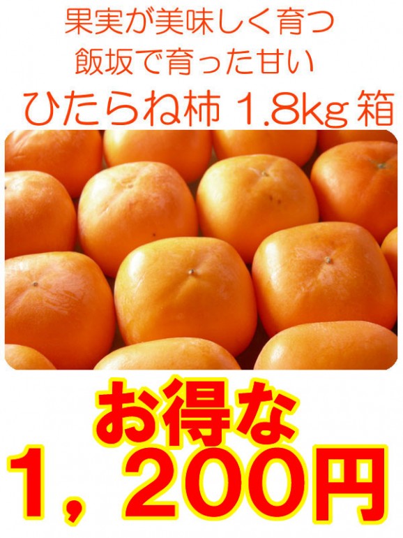 トロトロ甘〜い飯坂産、種なしひらたね柿(1.8kg箱8〜12入)【発送時期:10月中旬〜11月上旬頃まで予定】 | 日本全国各地の名産品やお土産のお取り寄せモール 風土jp