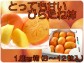 トロトロ甘〜い飯坂産、種なしひらたね柿(1.8kg箱8〜12入)【発送時期:10月中旬〜11月上旬頃まで予定】