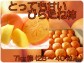 トロトロ甘〜い飯坂産、種なしひらたね柿(7kg箱26〜40入)【発送時期:10月中旬〜11月上旬頃まで予定】
