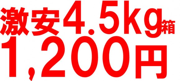 【訳あり】陽光りんご4.5kg箱(品種:陽光 10玉〜25玉入) 【発送時期:10月14日〜11月10日頃まで予定】 | 日本全国各地のお取り寄せモール風土jp