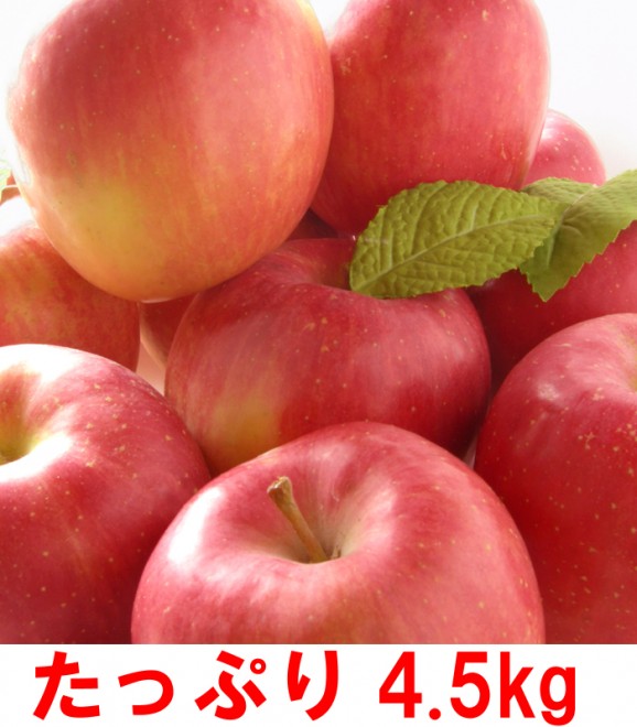 【訳あり】陽光りんご4.5kg箱(品種:陽光 10玉〜25玉入) 【発送時期:10月14日〜11月10日頃まで予定】 | 日本全国各地のお取り寄せモール風土jp