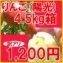 【訳あり】陽光りんご4.5kg箱(品種:陽光 10玉〜25玉入) 【発送時期:10月14日〜11月10日頃まで予定】
