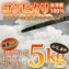【令和元年産】会津産コシヒカリ(5kg)