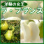 【福島県産】ラ・フランス 【発送時期:11月上旬頃〜12月中旬頃まで予定】