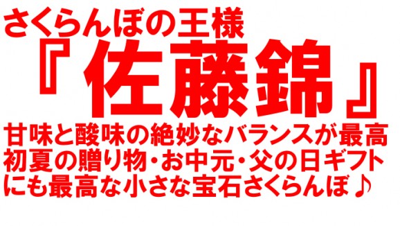 【訳あり】さくらんぼ(佐藤錦)約450g、ご家庭向けのバラ詰 【発送時期:6月中旬頃〜7月上旬頃まで予定】 | 日本全国各地の名産品やお土産のお取り寄せモール 風土jp
