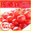 【訳あり】さくらんぼ(佐藤錦)たっぷり500g、ご家庭向けのバラ詰 【発送時期:6月中旬頃〜7月上旬頃まで予定】