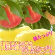 ふくしまの桃ゼリー(３個入) 画像 | 日本全国各地の名産品やお土産のお取り寄せモール 風土jp