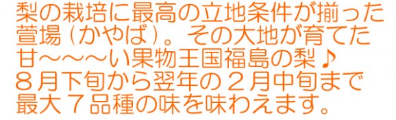 【ジャンボな新高梨】福島県かやばの梨(1.8kg箱3〜5玉入) 【発送時期:10月下旬頃〜11月上旬頃まで予定】 | 日本全国各地のお取り寄せモール風土jp