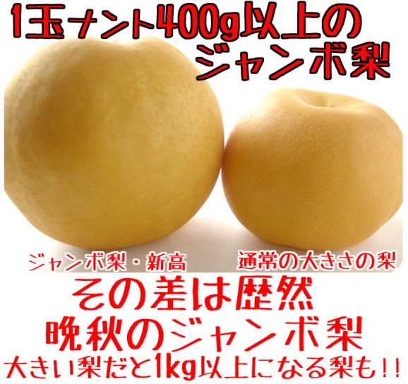 【ジャンボな新高梨】福島県かやばの梨(1.8kg箱3〜5玉入) 【発送時期:10月下旬頃〜11月上旬頃まで予定】 | 日本全国各地のお取り寄せモール風土jp