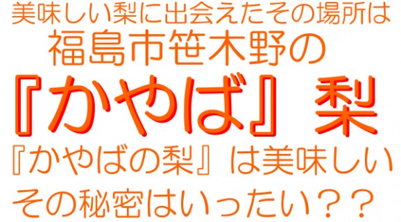 【ジャンボな新高梨】福島県かやばの梨(1.8kg箱3〜5玉入) 【発送時期:10月下旬頃〜11月上旬頃まで予定】 | 日本全国各地のお取り寄せモール風土jp