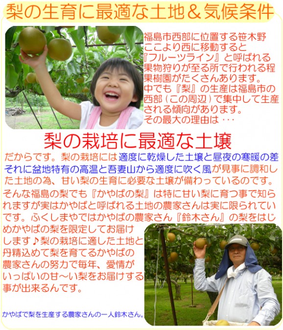 【ジャンボな新高梨】福島県かやばの梨(1.8kg箱3〜5玉入) 【発送時期:10月下旬頃〜11月上旬頃まで予定】 | 日本全国各地のお取り寄せモール風土jp