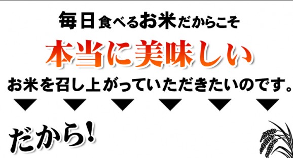 【送料無料】【令和3年産】無洗米・会津産コシヒカリ(10kg) | 日本全国各地のお取り寄せモール風土jp