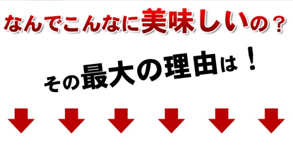 【送料無料】【令和3年産】無洗米・会津産コシヒカリ(10kg) | 日本全国各地のお取り寄せモール風土jp