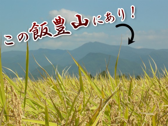 【送料無料】【令和3年産】無洗米・会津産コシヒカリ(10kg) | 日本全国各地のお取り寄せモール風土jp