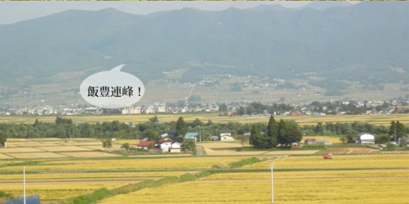 【送料無料】【令和3年産】無洗米・会津産コシヒカリ(10kg) | 日本全国各地のお取り寄せモール風土jp