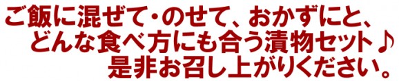 ̵ۿʪå ܿ椭ߤӤǤȵ̤̣ͤΥå  | ϤΤ󤻥⡼jp