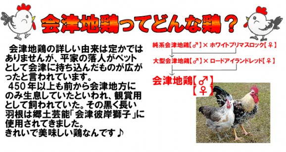【送料無料】会津地鶏塩鍋セット(3〜4人前) | 日本全国各地の名産品やお土産のお取り寄せモール 風土jp