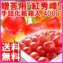 さくらんぼ『紅秀峰400g』贈答向け手詰パック 【送料無料】【発送時期:7月上旬頃〜7月中旬頃まで予定】
