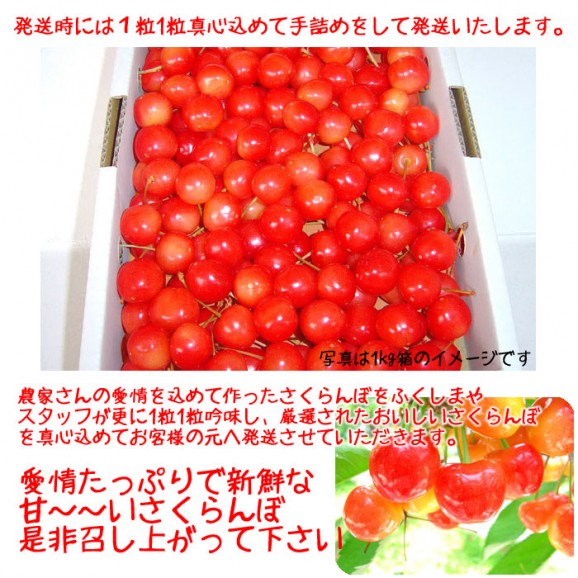 さくらんぼ『紅秀峰1kg』贈答向け手詰化粧箱入 【送料無料】【発送時期:7月上旬頃〜7月中旬頃まで予定】 | 日本全国各地の名産品やお土産のお取り寄せモール 風土jp