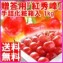 さくらんぼ『紅秀峰1kg』贈答向け手詰化粧箱入 【送料無料】【発送時期:7月上旬頃〜7月中旬頃まで予定】
