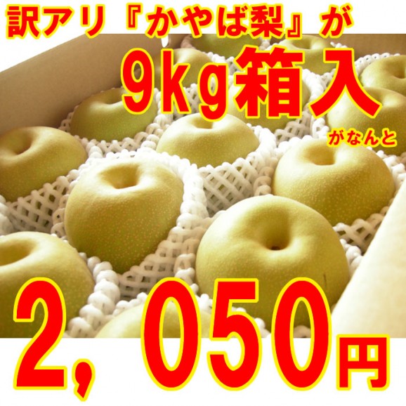 【訳アリ】2,050円、20世紀梨9kg箱(18玉〜44玉入) 【発送時期:10月中旬頃まで予定】 | 日本全国各地のお取り寄せモール風土jp
