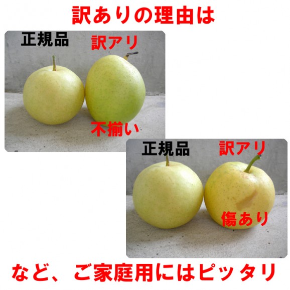 【訳アリ】2,050円、20世紀梨9kg箱(18玉〜44玉入) 【発送時期:10月中旬頃まで予定】 | 日本全国各地のお取り寄せモール風土jp