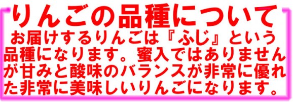【訳あり】ふじりんご9kg箱(品種:ふじ 20玉〜50玉入)2,000円ポッキリ 【発送時期:11月5日〜11月30日頃まで予定】 | 日本全国各地のお取り寄せモール風土jp