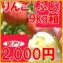【訳あり】ふじりんご9kg箱(品種:ふじ 20玉〜50玉入)2,000円ポッキリ 【発送時期:11月5日〜11月30日頃まで予定】