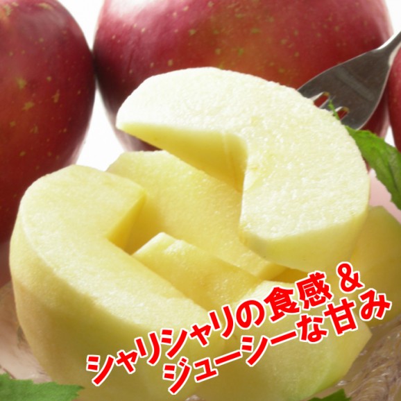 【訳あり】陽光りんご9kg箱(品種:陽光 20玉〜50玉入)2,000円ポッキリ 【発送時期:10月17日〜11月10日頃まで予定】 | 日本全国各地のお取り寄せモール風土jp