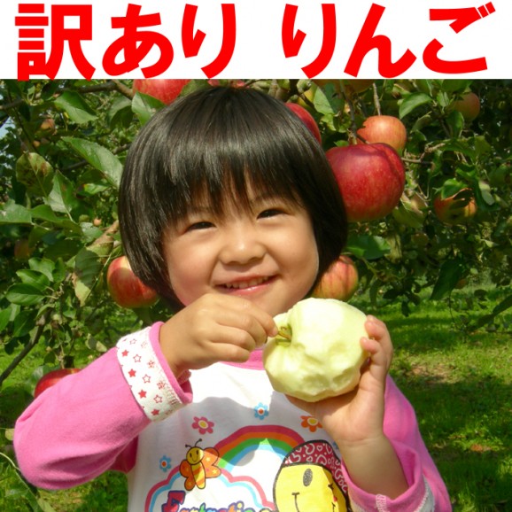 【訳あり】陽光りんご9kg箱(品種:陽光 20玉〜50玉入)2,000円ポッキリ 【発送時期:10月17日〜11月10日頃まで予定】 | 日本全国各地のお取り寄せモール風土jp