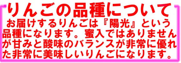 【訳あり】陽光りんご9kg箱(品種:陽光 20玉〜50玉入)2,000円ポッキリ 【発送時期:10月17日〜11月10日頃まで予定】 | 日本全国各地のお取り寄せモール風土jp