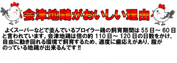【送料無料】会津地鶏塩鍋セット(2〜3人前) | 日本全国各地のお取り寄せモール風土jp