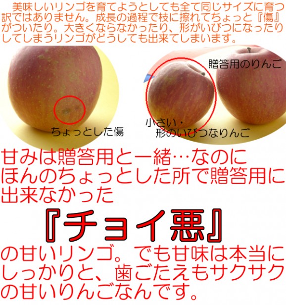 【訳あり】激安プレミアムアウトレット、サンふじりんご(9kg 24〜50玉入)【発送時期:11月下旬〜3月下旬頃まで予定】 | 日本全国各地の名産品やお土産のお取り寄せモール 風土jp