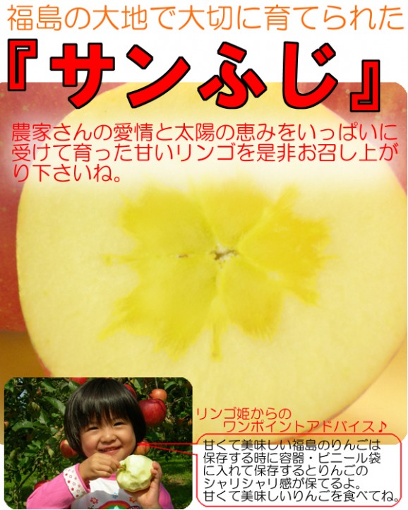 【訳あり】激安プレミアムアウトレット、サンふじりんご(9kg 24〜50玉入)【発送時期:11月下旬〜3月下旬頃まで予定】 | 日本全国各地の名産品やお土産のお取り寄せモール 風土jp