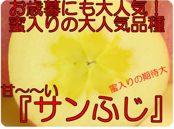 【訳あり】激安プレミアムアウトレット、サンふじりんご(9kg 24〜50玉入)【発送時期:11月下旬〜3月下旬頃まで予定】 | 日本全国各地の名産品やお土産のお取り寄せモール 風土jp