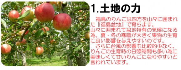 【訳あり】激安プレミアムアウトレット、サンふじりんご(9kg 24〜50玉入)【発送時期:11月下旬〜3月下旬頃まで予定】 | 日本全国各地の名産品やお土産のお取り寄せモール 風土jp