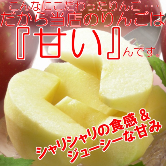 【訳あり】激安プレミアムアウトレット、サンふじりんご(9kg 24〜50玉入)【発送時期:11月下旬〜3月下旬頃まで予定】 | 日本全国各地の名産品やお土産のお取り寄せモール 風土jp