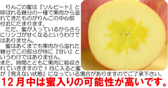 【訳あり】激安プレミアムアウトレット、サンふじりんご(9kg 24〜50玉入)【発送時期:11月下旬〜3月下旬頃まで予定】 | 日本全国各地の名産品やお土産のお取り寄せモール 風土jp