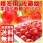 【温室栽培】【送料無料】さくらんぼ(佐藤錦)300g、贈答向けの手詰化粧箱入 【発送時期:5月中旬頃〜6月上旬頃まで予定】