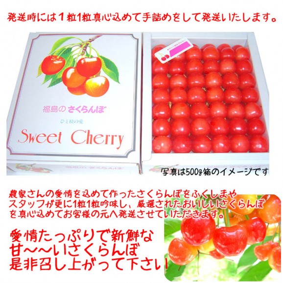【温室栽培】【送料無料】さくらんぼ(佐藤錦)500g、贈答向け化粧箱入 【発送時期:5月中旬頃〜6月上旬頃まで予定】 | 日本全国各地のお取り寄せモール風土jp