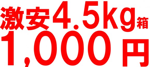 【訳あり】シナノスイートりんご4.5kg箱(品種:シナノスイート 10玉〜25玉入)1,000円ポッキリ 【発送時期:10月17日〜11月10日頃まで予定】 | 日本全国各地のお取り寄せモール風土jp