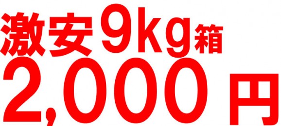 【訳あり】シナノスイート9kg箱(品種:シナノスイイート 20玉〜50玉入)2,000円ポッキリ 【発送時期:10月17日〜11月10日頃まで予定】 | 日本全国各地のお取り寄せモール風土jp