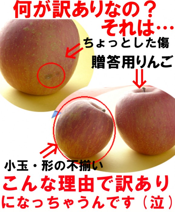 【訳あり】シナノスイート9kg箱(品種:シナノスイイート 20玉〜50玉入)2,000円ポッキリ 【発送時期:10月17日〜11月10日頃まで予定】 | 日本全国各地のお取り寄せモール風土jp