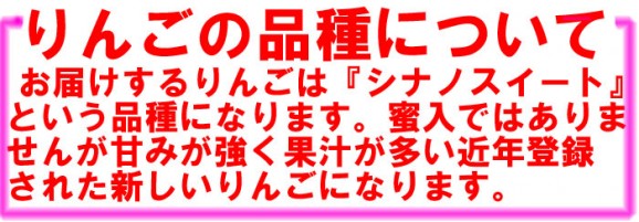 【訳あり】シナノスイート9kg箱(品種:シナノスイイート 20玉〜50玉入)2,000円ポッキリ 【発送時期:10月17日〜11月10日頃まで予定】 | 日本全国各地のお取り寄せモール風土jp