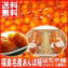 【送料無料】 福島名産 はちや柿のあんぽ柿 (230g×2)