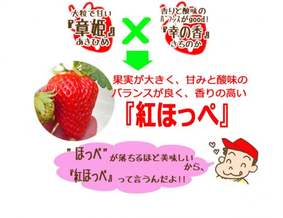 紅ほっぺ(2パック入) | 日本全国各地の名産品やお土産のお取り寄せモール 風土jp