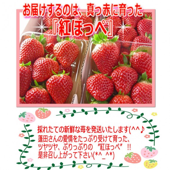 紅ほっぺ(2パック入) | 日本全国各地の名産品やお土産のお取り寄せモール 風土jp