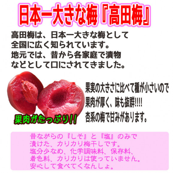 高田梅 3個入 | 日本全国各地のお取り寄せモール風土jp