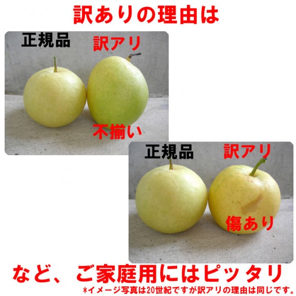 �ڿ��̸���ۡ�������ۿ�����2.7kgȢ(4��8����) | ����������ϤΤ����󤻥⡼������jp